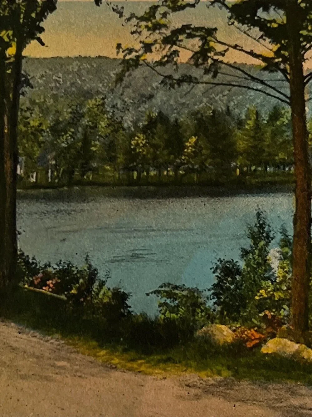 Vintage Litho Postcard 1929 Ephemera Lake Scene Greetings From Prescott Ark NYCE